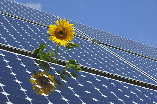 Shanshui Heavy Industry launches innovative solar panel recycling equipment to help the industry's green transformation